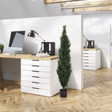 Groene Kunstplant CEDRUS in een zwarte pot in het kantoor van hjh OFFICE