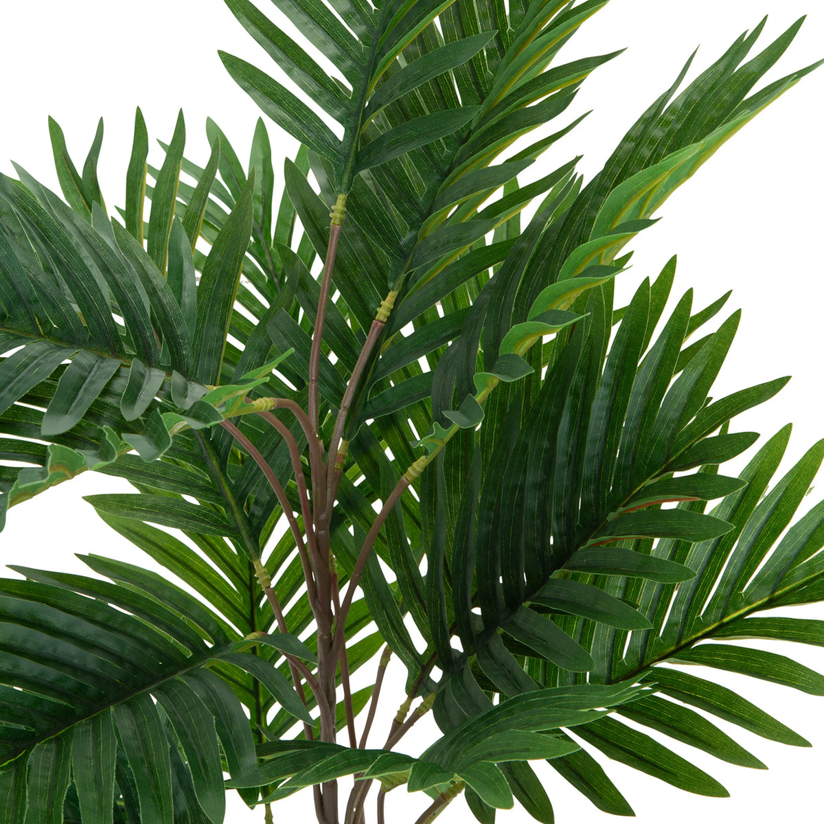 Groene bladeren van de kunstplant ARECA van hjh OFFICE