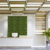 Groene plantmat MORE GREEN I als verticale beplanting op een lichte betonnen muur in een ontvangstgebied van hjh OFFICE