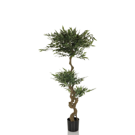 Groene Kunstplant ACACIA met gebogen bruine stam in een zwarte pot van hjh OFFICE
