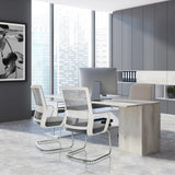 Twee grijze VISITER W vergaderstoelen met netbespanning en chromen slee-onderstel van hjh OFFICE