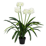 AGAPANTHUS - Kunstplant 