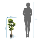 Maatafbeelding van de Kunstplant SCHEFFLERA met een hoogte van 100 cm en breedte van 38 cm van hjh OFFICE
