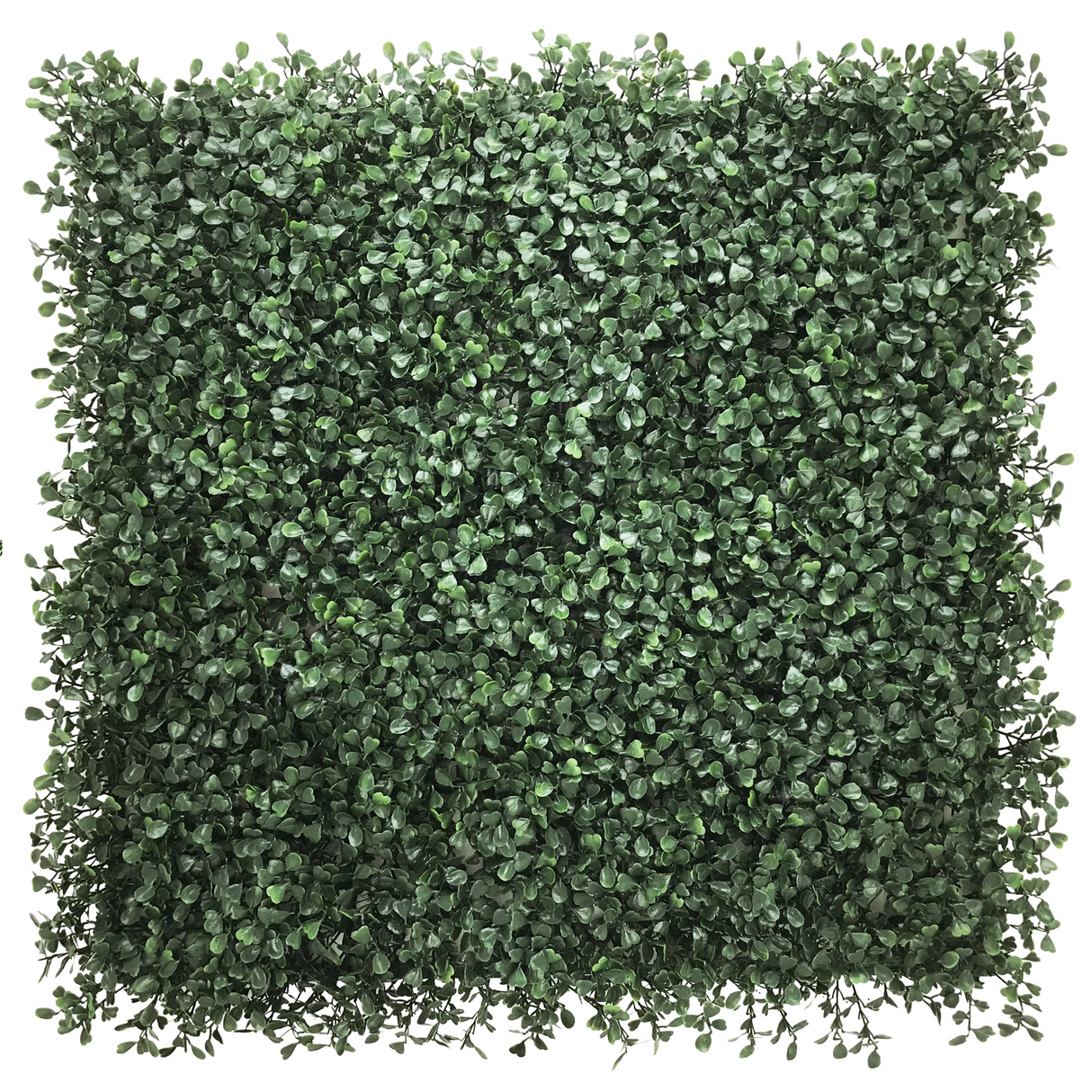 LEAFLUXE 1 - Plantmat 