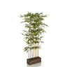 Groene Kunstplant BAMBUS I in de vorm van een bamboe met een donkerbruine plantenbak van hjh OFFICE