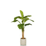 Groene Kunstplant BANANE I met grote bladeren in een eenvoudige witte pot van hjh OFFICE