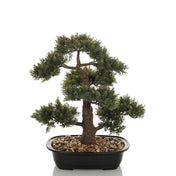 Kunstplant BONSAI in de vorm van een groene bonsai in een zwarte schaal met kiezels van hjh OFFICE