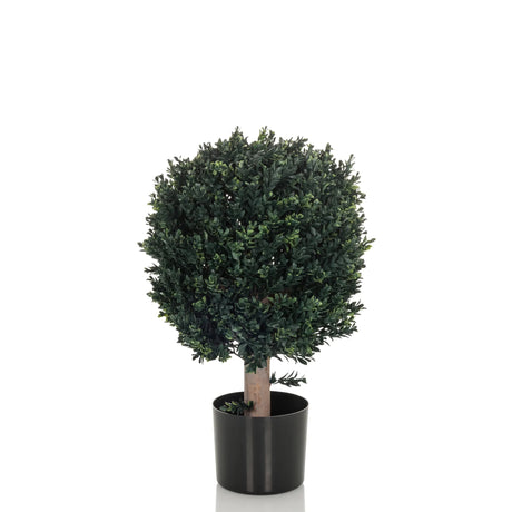 Kunstplant BUXUS in het groen met een bolvormige kroon in een zwarte pot van hjh OFFICE