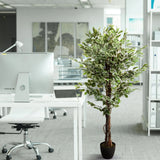 Groene kunstplant FICUS in een zwarte pot naast een bureau van hjh OFFICE