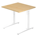 XTRA XB 8 WW | 80x80 | Bureau hoogte verstelbaar 