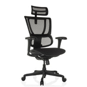 Luxe directiestoel ERGOHUMAN SLIM ECO F GEN2 met zwarte netbekleding, hoofdsteun en armleuningen van hjh OFFICE