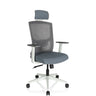Professionele bureaustoel CAPTIVO BASE W in grijs met netrugleuning en hoofdsteun van hjh OFFICE