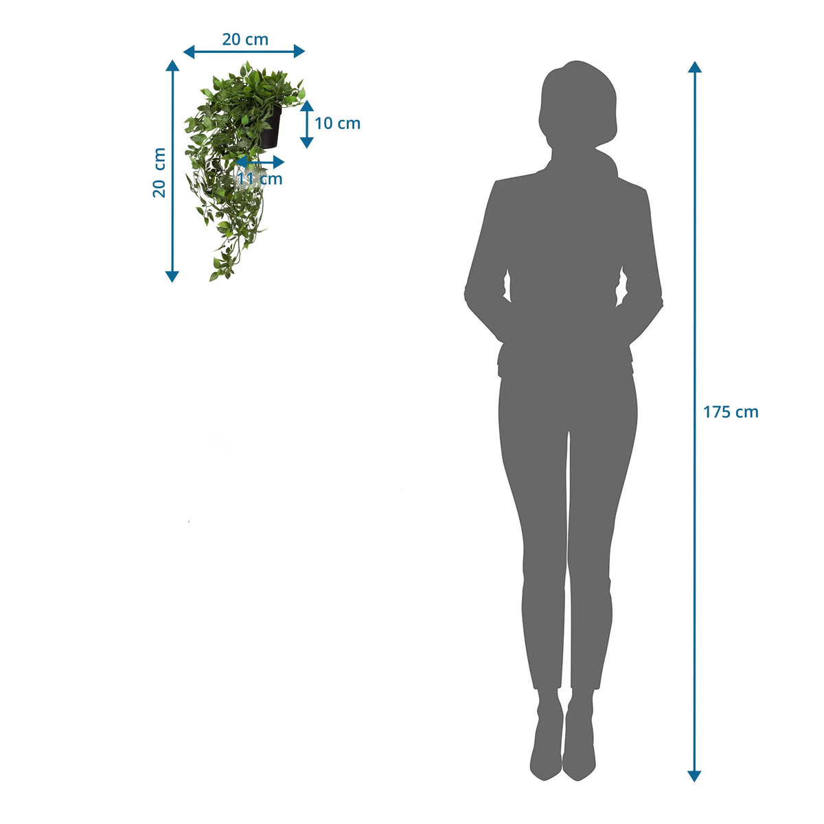 Maattekening van de Kunstplant Epipremnum Climb met een hoogte van 20 cm in vergelijking met een persoon van hjh OFFICE