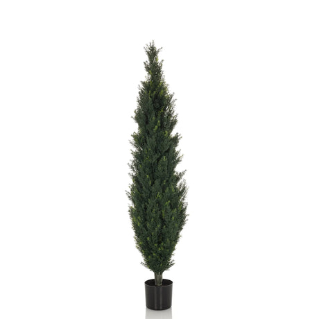 Groene Kunstplant CEDRUS in slanke vorm met zwarte plantenpot van hjh OFFICE