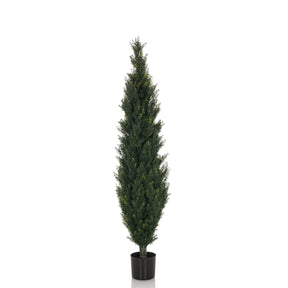 Groene Kunstplant CEDRUS in slanke vorm met zwarte plantenpot van hjh OFFICE
