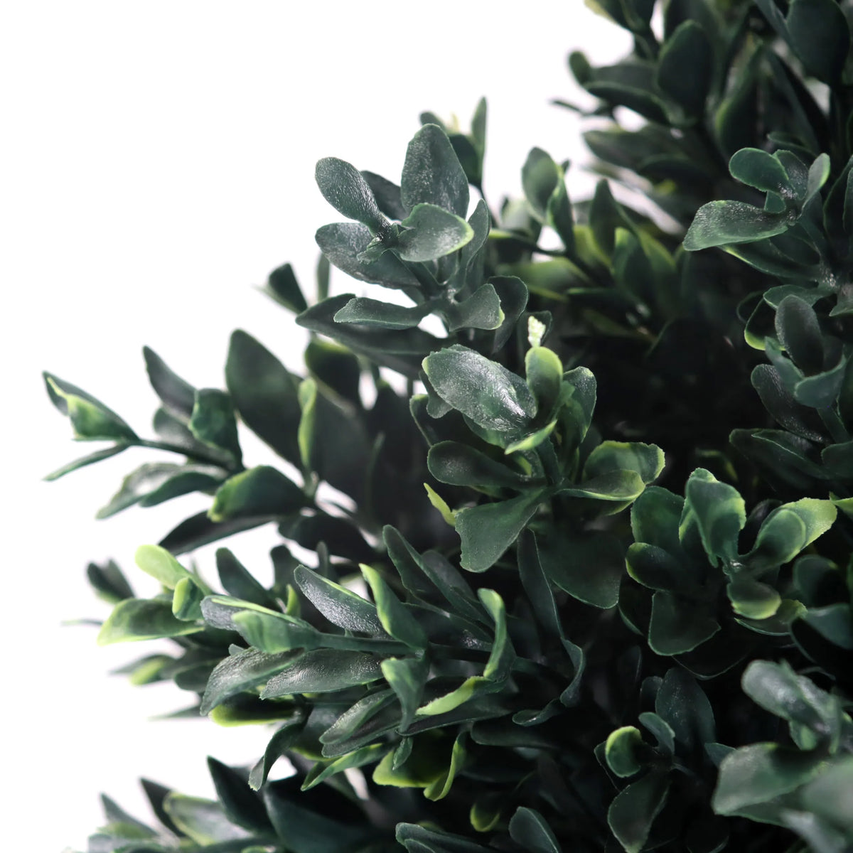 Groene bladeren van de Kunstplant BUXUS van hjh OFFICE