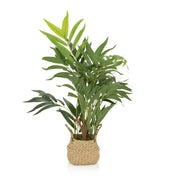 Kunstplant CHAMAEDOREA in groene kleur met een gevlochten overpot van natuurmateriaal van hjh OFFICE