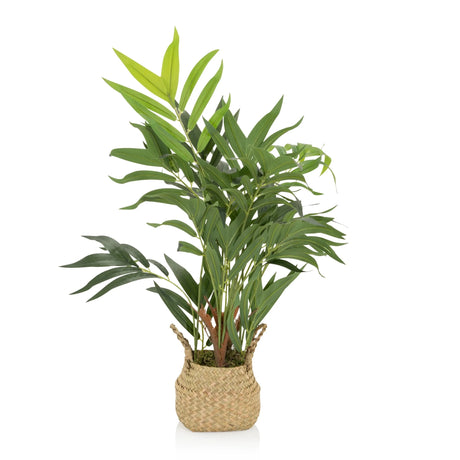 Kunstplant CHAMAEDOREA in groene kleur met een gevlochten overpot van natuurmateriaal van hjh OFFICE