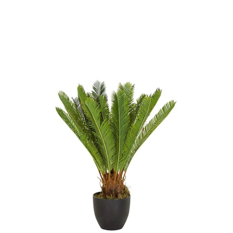 Groene Kunstplant CYCAS met varenachtige bladeren in een zwarte pot van hjh OFFICE