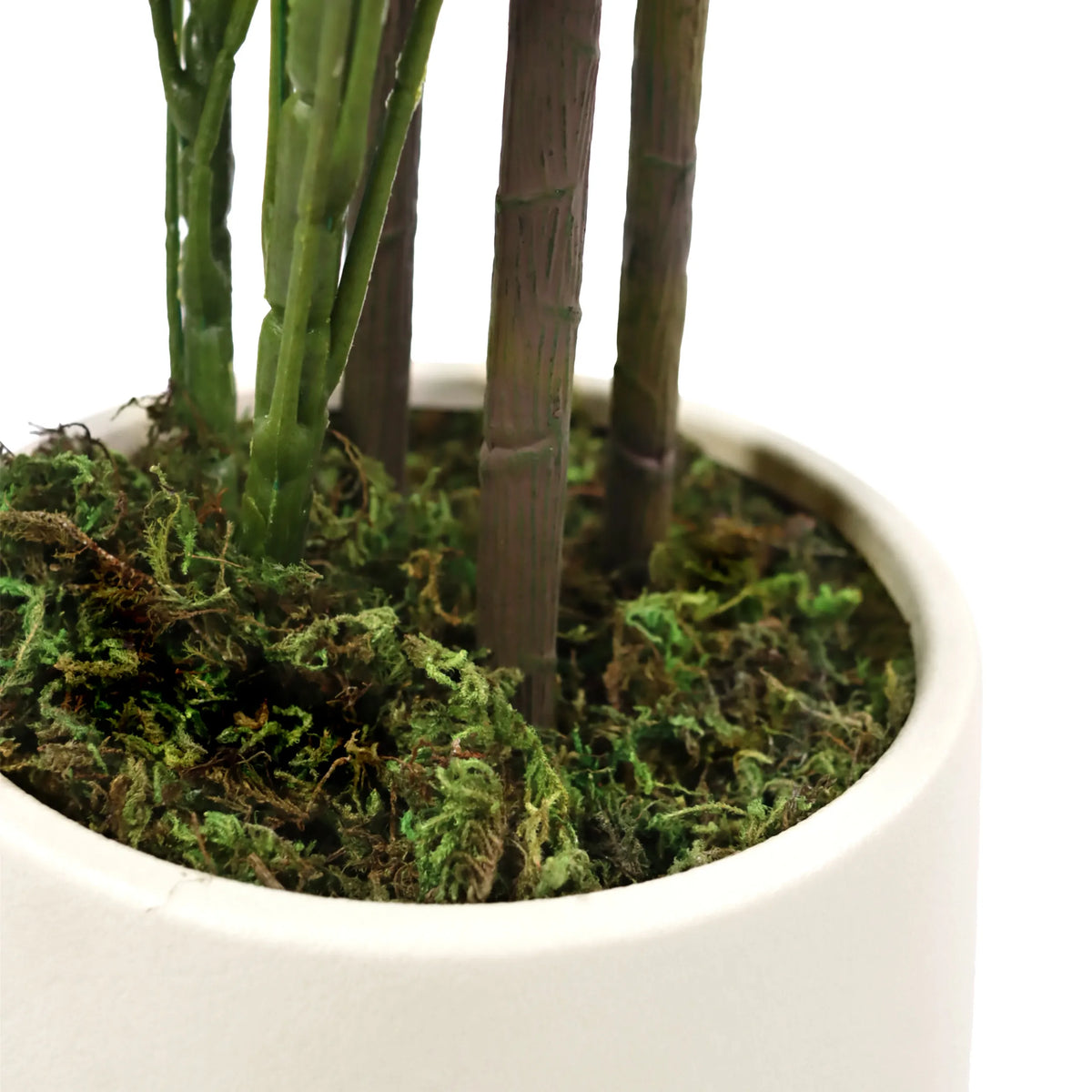 Stengels en mosbodem van de Kunstplant Schefflera 2 in een witte pot van hjh OFFICE