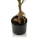 Stam en wortelgedeelte van de kunstplant SCHEFFLERA in een zwarte pot van hjh OFFICE