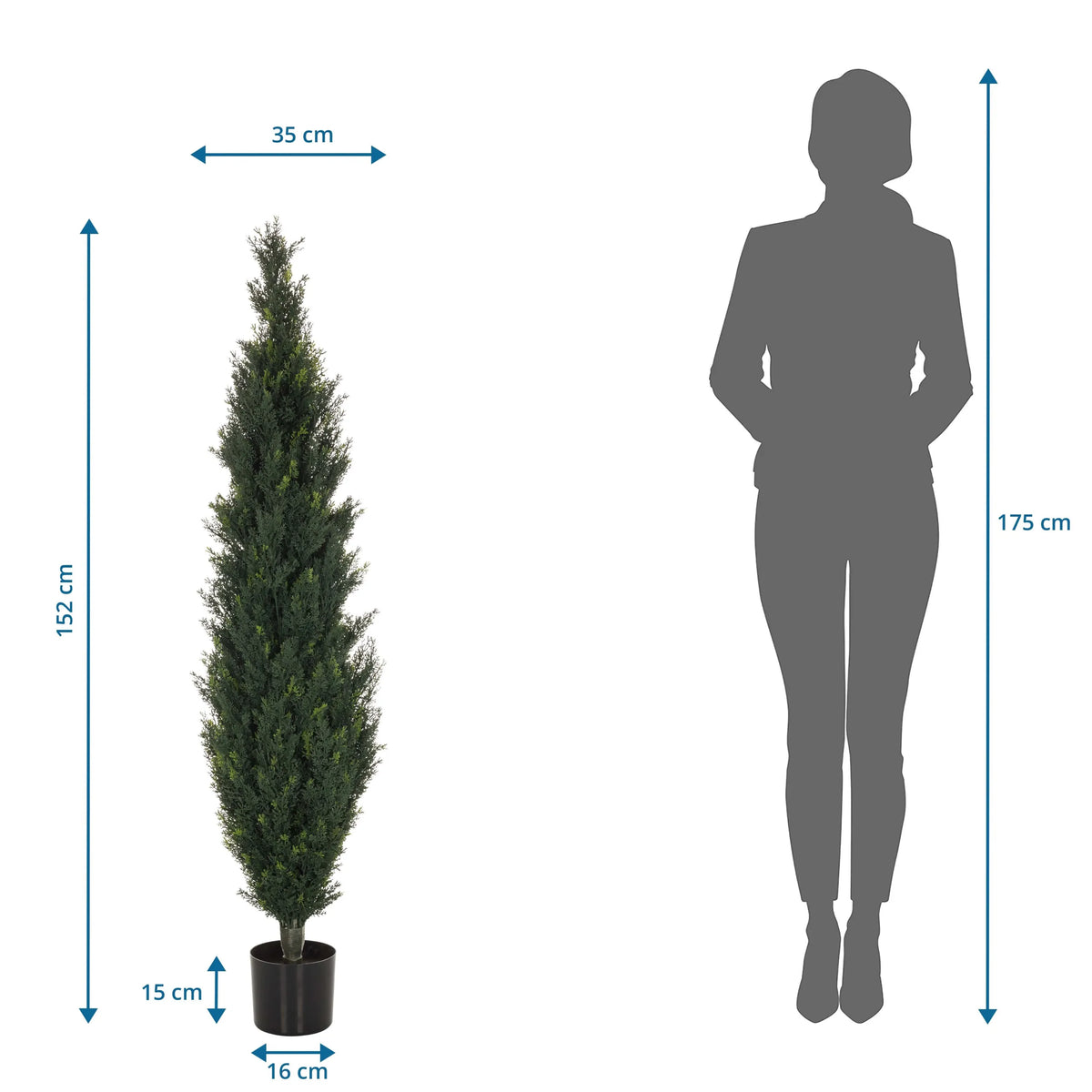 Maattekening van de Kunstplant CEDRUS met een hoogte van 152 cm van hjh OFFICE