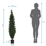 Maattekening van de Kunstplant CEDRUS met een hoogte van 152 cm van hjh OFFICE