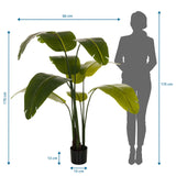Maattekening van de Kunstplant BANANE met een hoogte van 170 cm en een breedte van 60 cm van hjh OFFICE