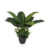 DIEFFENBACHIA - Kunstplant 