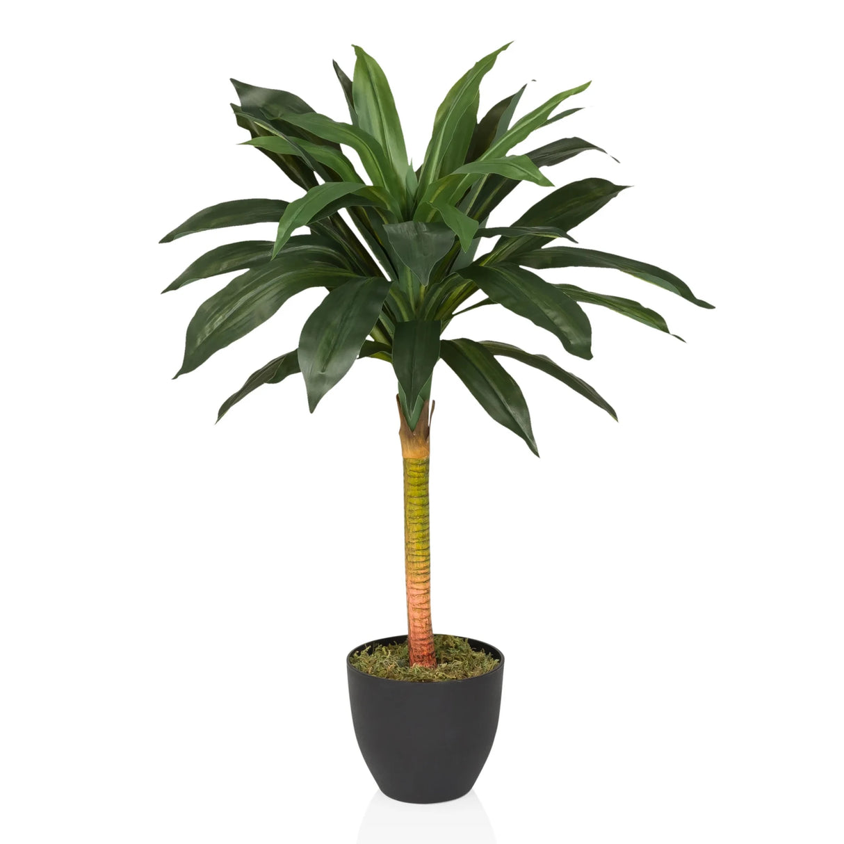 DRACAENA I - Kunstplant 