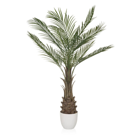 Groene Kunstplant DRACAENA met waaiervormige palmbladeren in een witte pot van hjh OFFICE