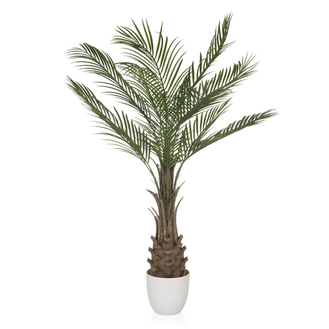 Groene Kunstplant DRACAENA met waaiervormige palmbladeren in een witte pot van hjh OFFICE