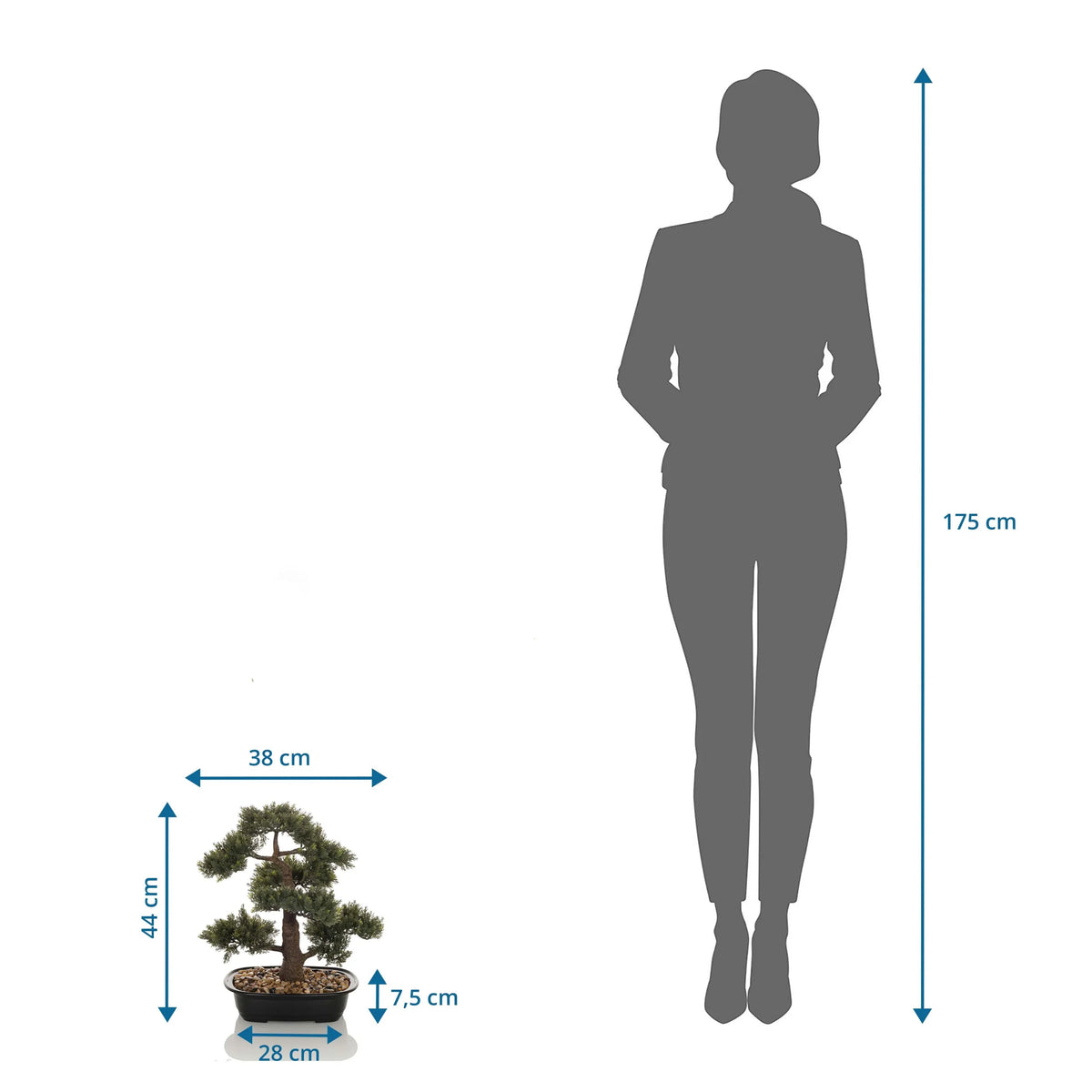 Maataanzicht van de Kunstplant BONSAI met een hoogte van 44 cm in vergelijking met een persoon van hjh OFFICE