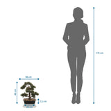 Maataanzicht van de Kunstplant BONSAI met een hoogte van 44 cm in vergelijking met een persoon van hjh OFFICE