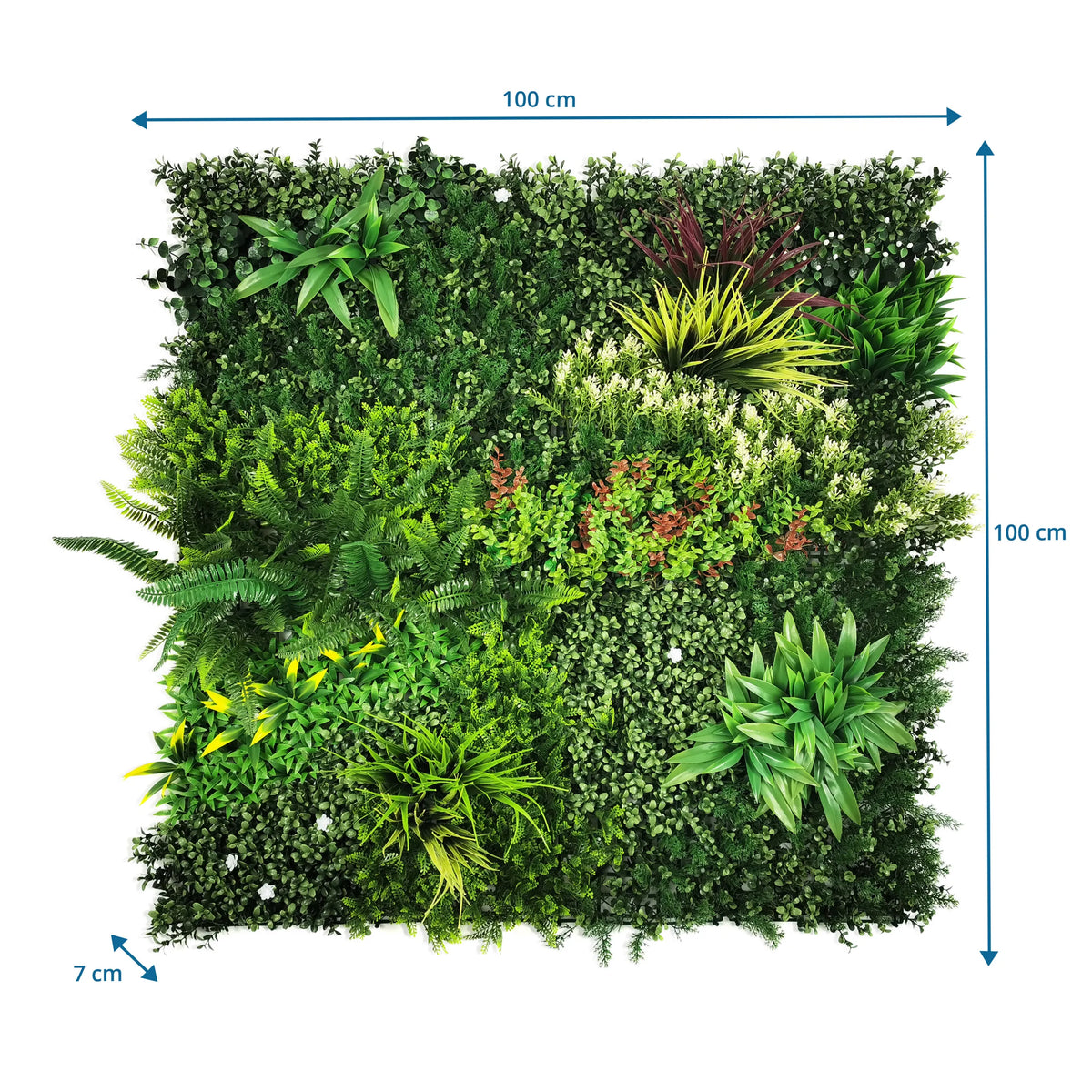 Maattekening van de Plantmat LEAFLUXE 3D met 100 × 100 × 7 cm van hjh LIVING