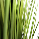 Groene bladeren van de kunstplant CORTADERIA van hjh OFFICE