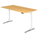 XBHM 2E WC | 200x100 | Bureau elektrisch in hoogte verstelbaar 