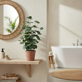 Groene kunstplant Eucalyptus in een terracottakleurige pot op een houten plank van hjh OFFICE