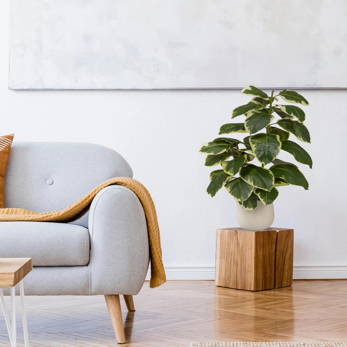 Kunstplant Ficus 3 in groen en wit in een witte pot op een houten voet van hjh OFFICE