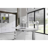 Zilveren organisatierail van de ORG accessoires op een wit bureau van hjh OFFICE PRO