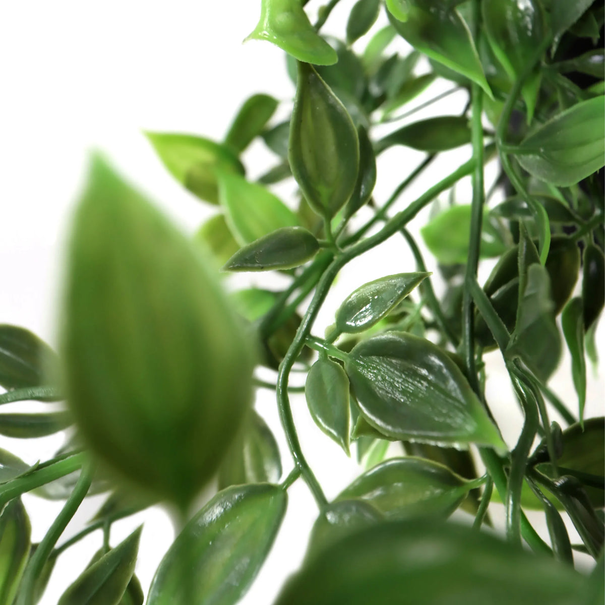 Groene bladeren van de Kunstplant Epipremnum Climb van hjh OFFICE