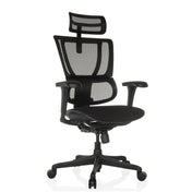 Luxe directiestoel ERGOHUMAN SLIM ECO F GEN2 met zwarte netbekleding, hoofdsteun en armleuningen van hjh OFFICE