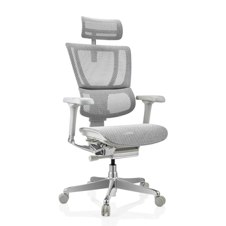 Luxe directiestoel ERGOHUMAN SLIM G GEN2 met lichtgrijs netbezruik, hoofdsteun en armleuningen van hjh OFFICE