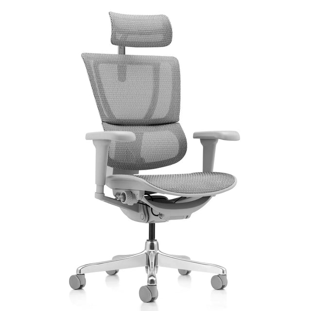 Luxe directiestoel ERGOHUMAN SLIM ULTRA G GEN2 met grijze netbekleding, hoofdsteun en armleuningen van hjh OFFICE