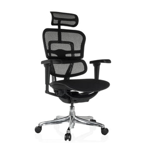 Luxe directiestoel ERGOHUMAN ULTRA F GEN2 met zwarte netbekleding, hoofdsteun en glanzend kruisvoet van hjh OFFICE