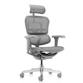 Luxe directiestoel ERGOHUMAN ULTRA G GEN2 met grijze netbekleding, hoofdsteun en armleuningen van hjh OFFICE