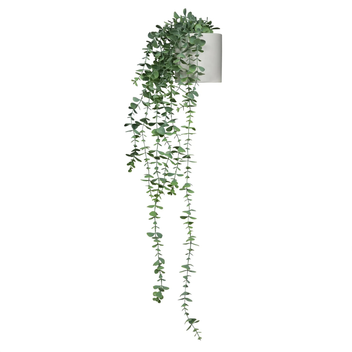 EUCALYPTUS CLIMB - Kunstplant 