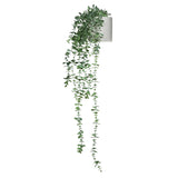 EUCALYPTUS CLIMB - Kunstplant 
