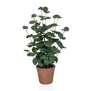 Kunstplant Eucalyptus in groene kleur met ronde bladeren in een bruine terracotta pot van hjh OFFICE