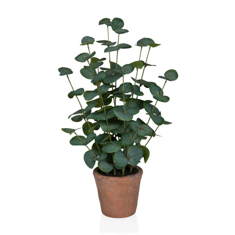 Kunstplant Eucalyptus in groene kleur met ronde bladeren in een bruine terracotta pot van hjh OFFICE